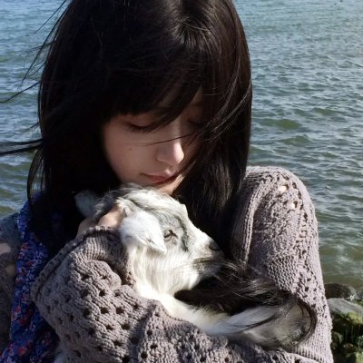 藏 海报